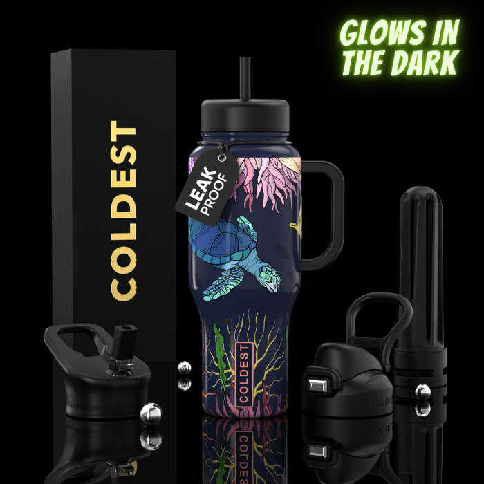 Coldest Limitless Insulated Water Bottle, 36 oz