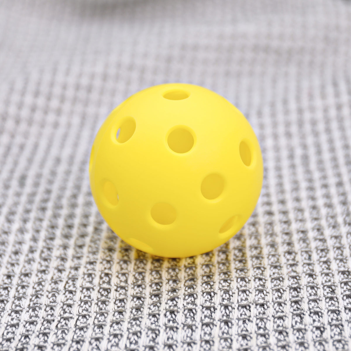 ARTI Indoor Pickleball
