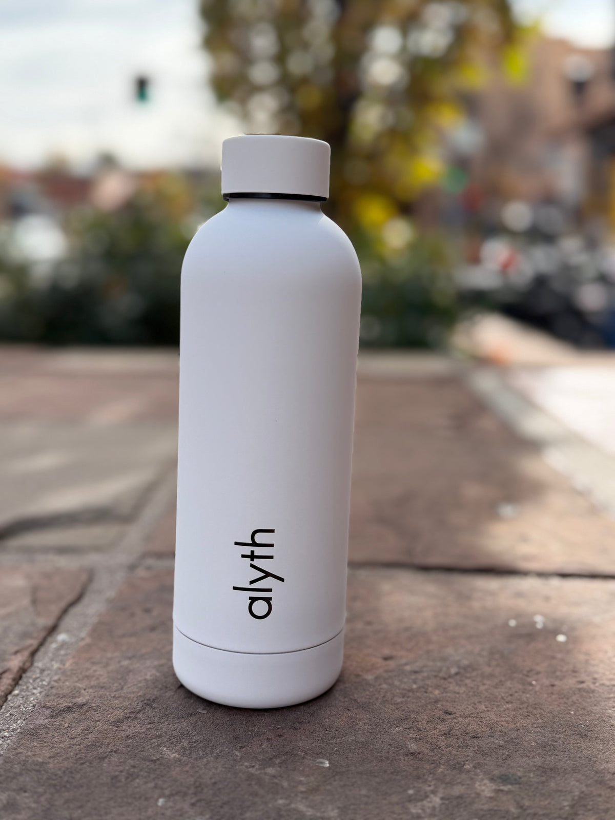 Alyth Water Bottle, 16 oz
