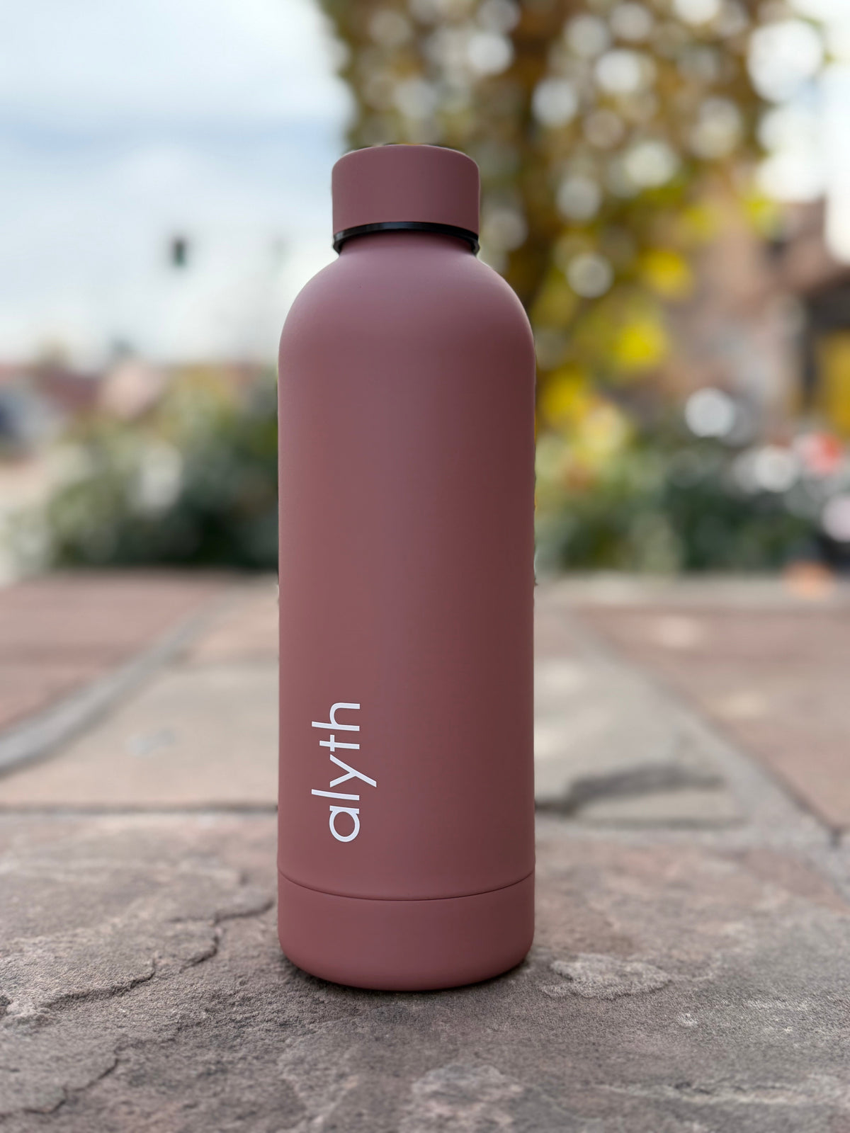Alyth Water Bottle, 16 oz