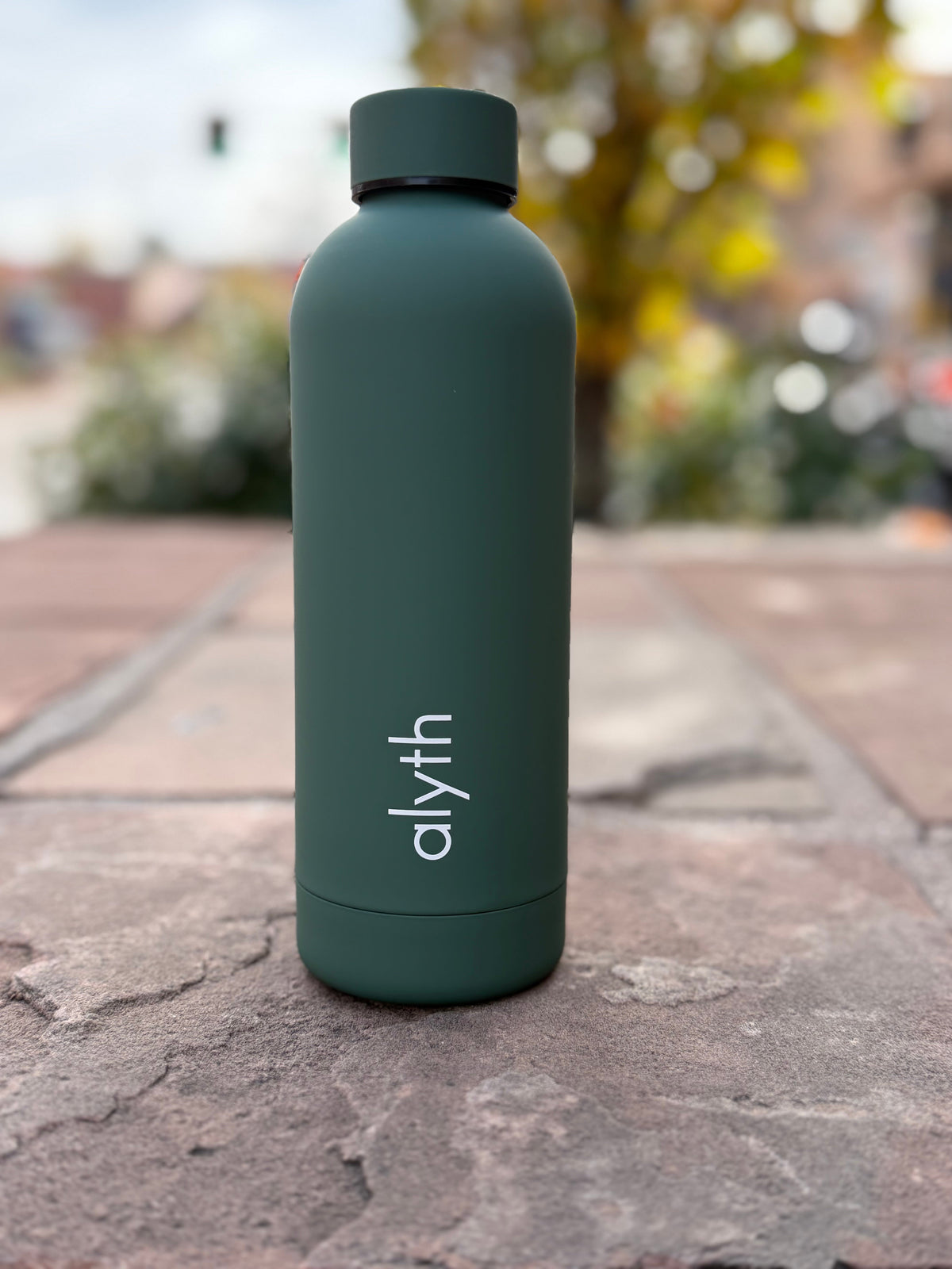 Alyth Water Bottle, 16 oz