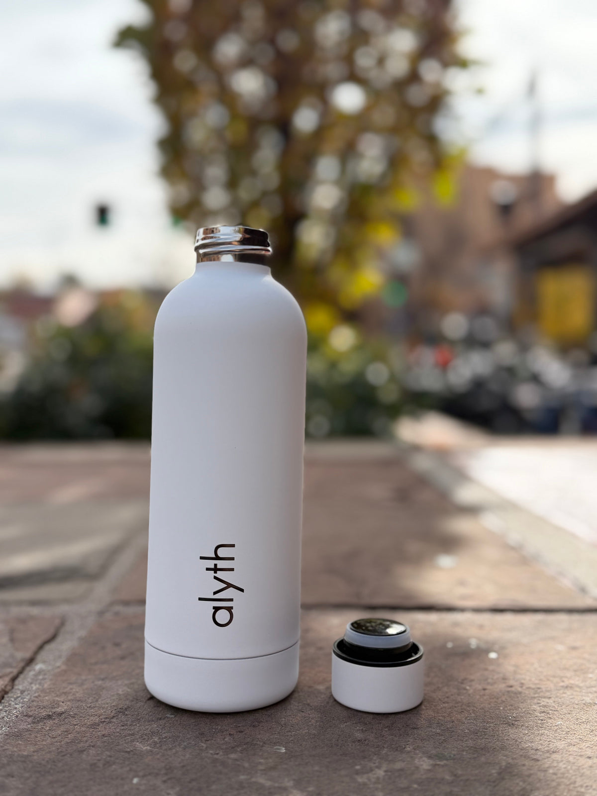 Alyth Water Bottle, 16 oz